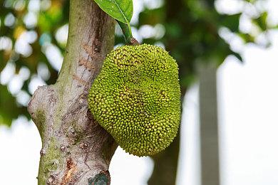 虚幻5恐怖游戏《ILL》新实机演示 氛围令人胆寒